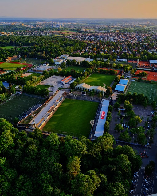 片金色的海 片金色的海