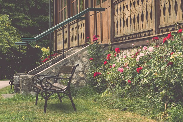 一直努力寻 一直努力寻