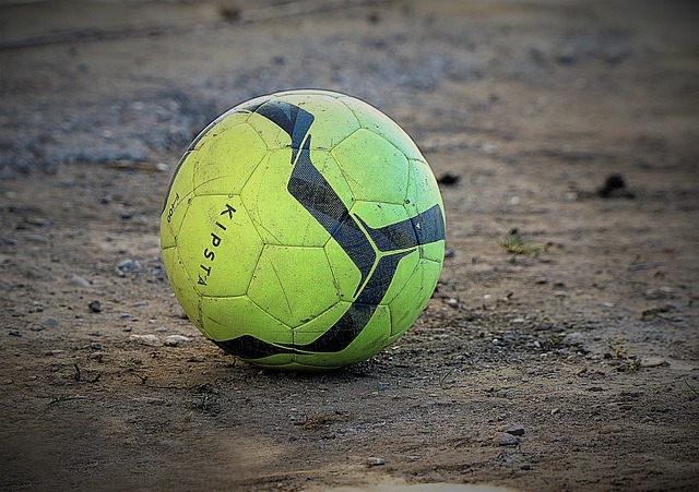 力和经济预 力和经济预