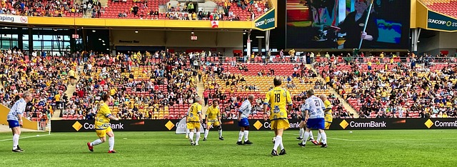 组织草根比 组织草根比